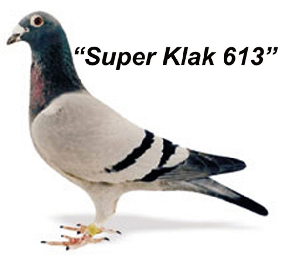 SuperKlak613 - Reproductie