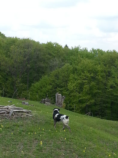 20140502_125653