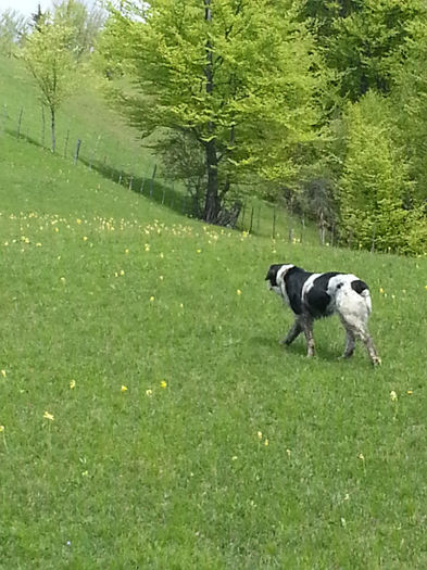 20140502_125941