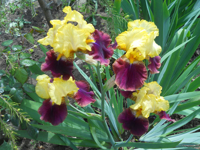 DSCN1574_005