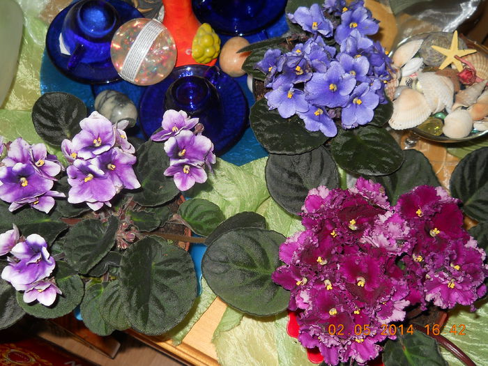 frumoase fete - MAI 2014