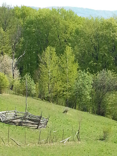 20140502_105446