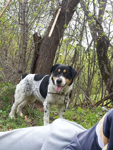 20140502_112841