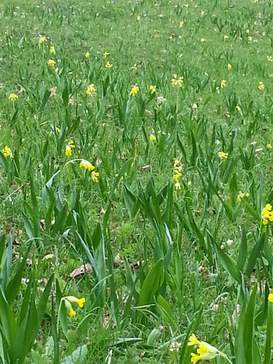 20140502_114719
