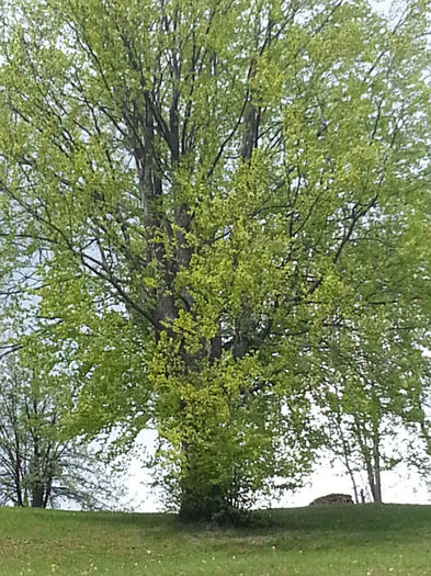 20140502_114831