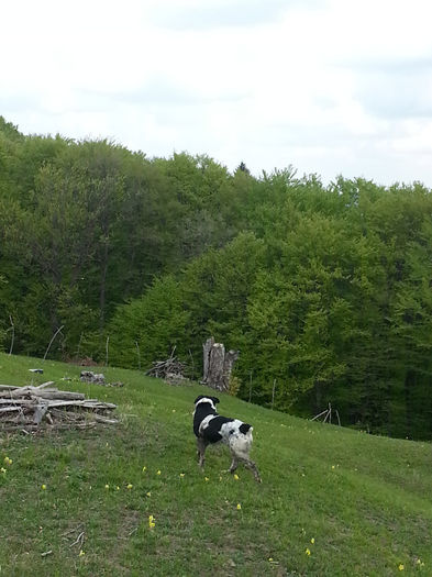 20140502_125653