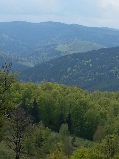 20140502_125933