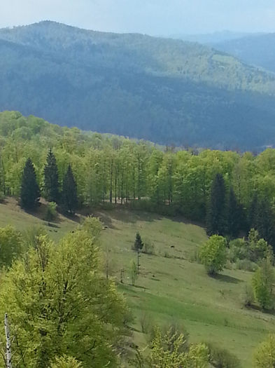 20140502_130040