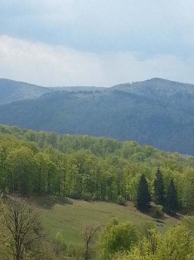 20140502_130042