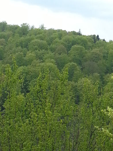 20140502_131341