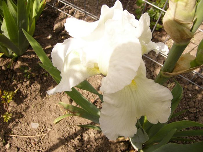 P1200435