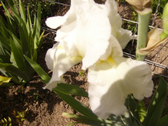 P1200437
