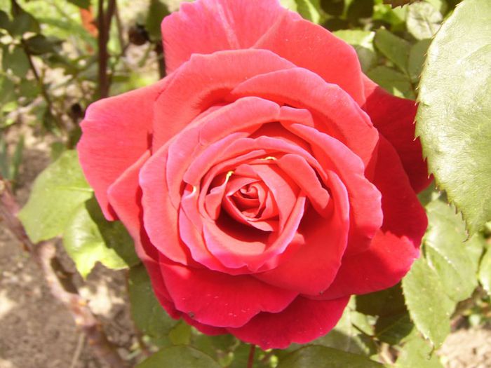 P1200440