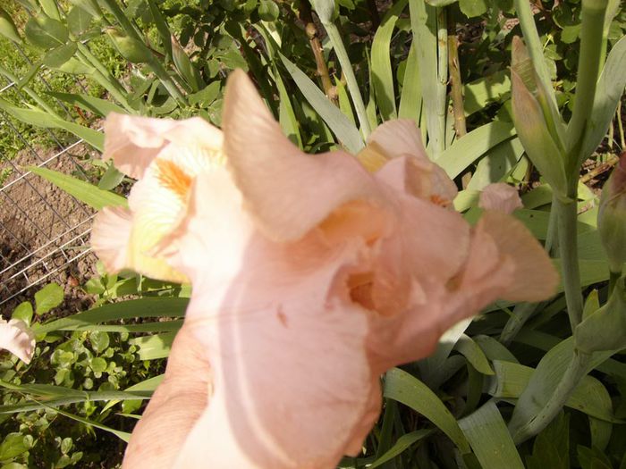 P1200449