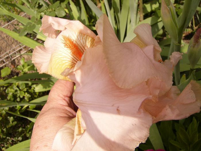 P1200450
