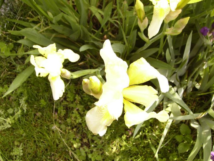 P1200452
