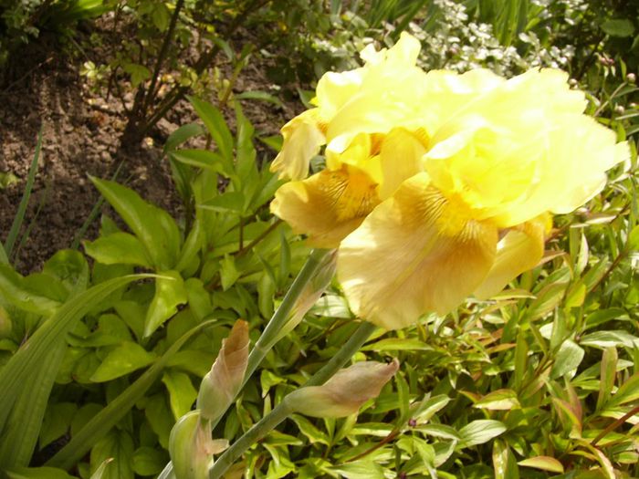P1200460