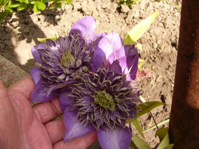 P1200475