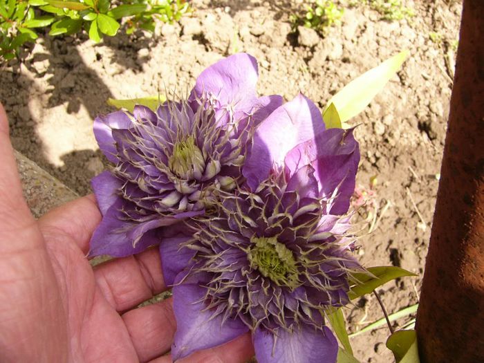 P1200476
