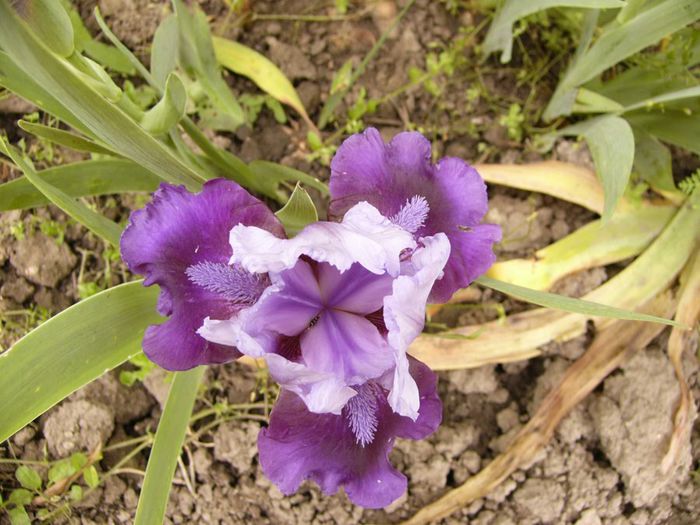 P1200487