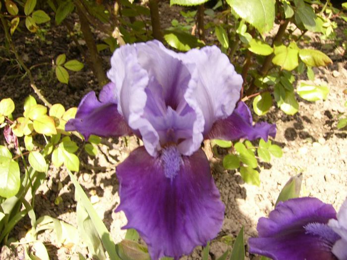 P1200488
