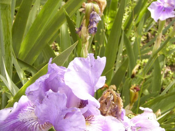 P1200491