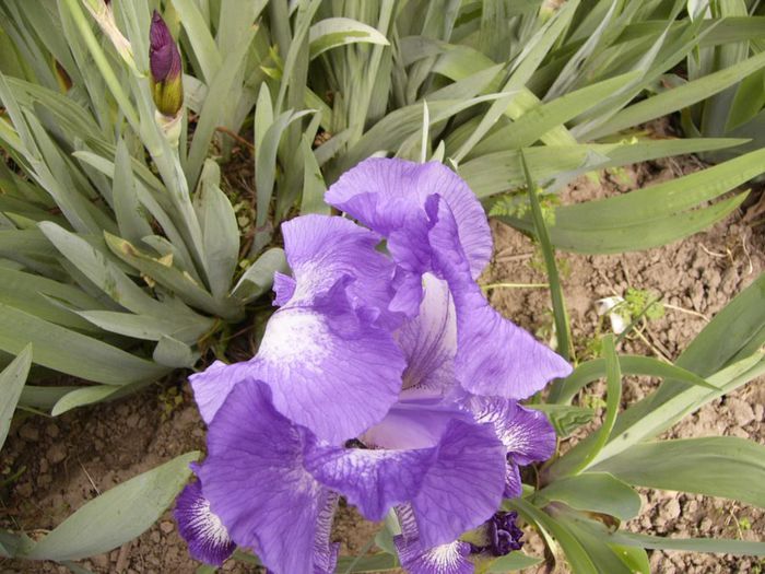 P1200502