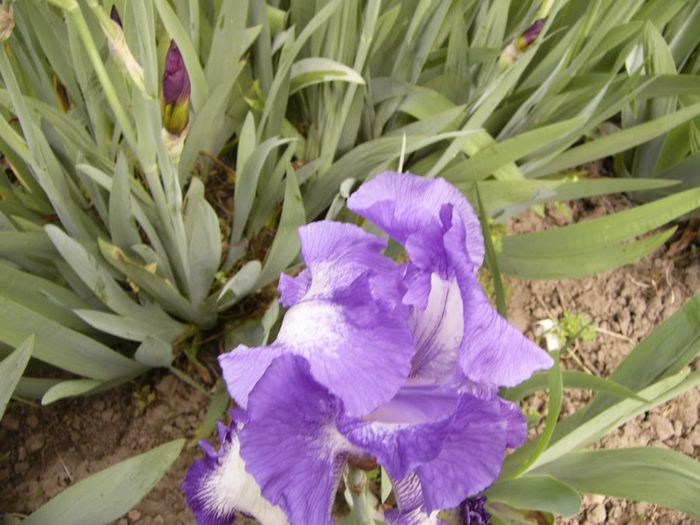 P1200504