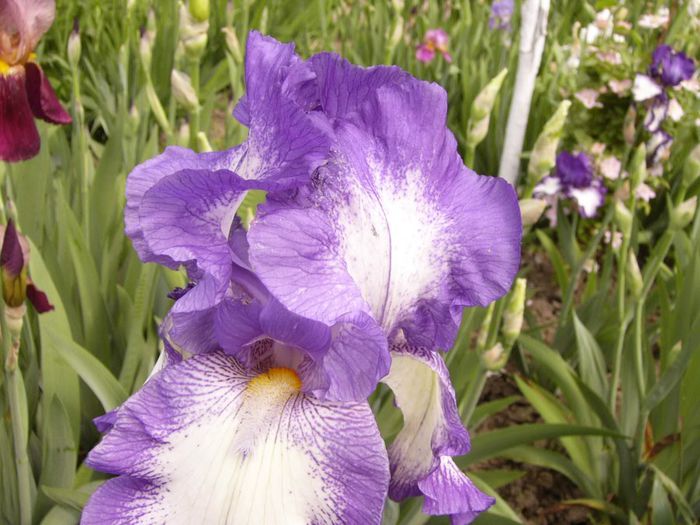 P1200505