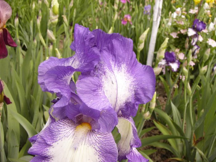 P1200506