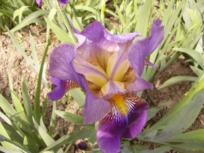 P1200507