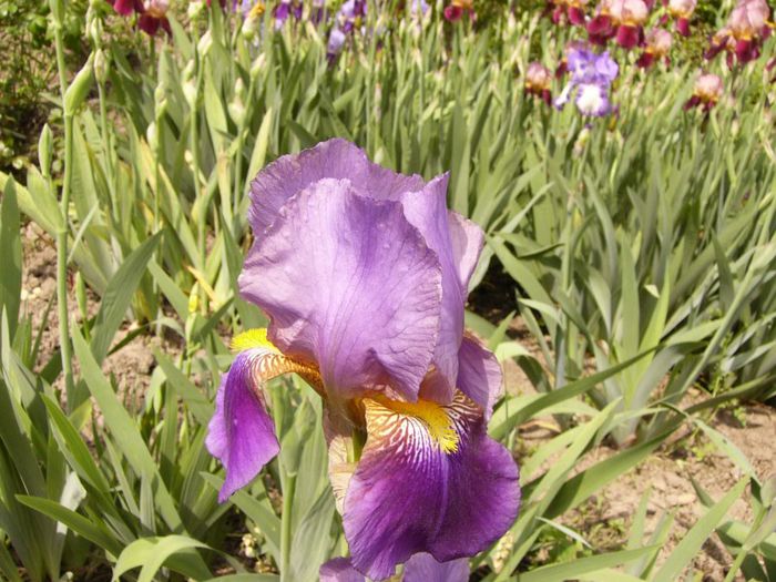 P1200510