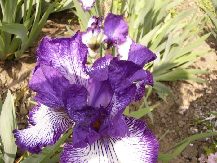 P1200511