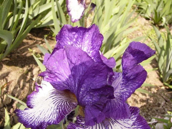 P1200512