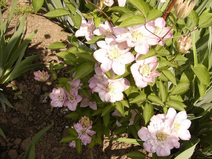 P1200516