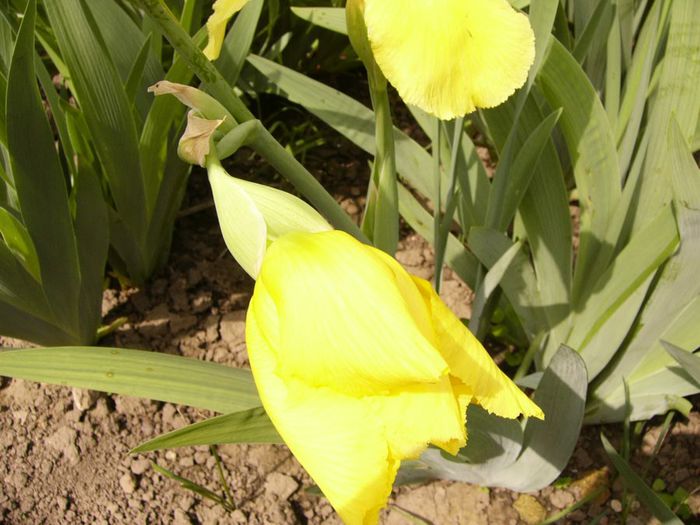 P1200524