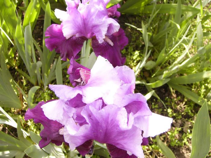 P1200536