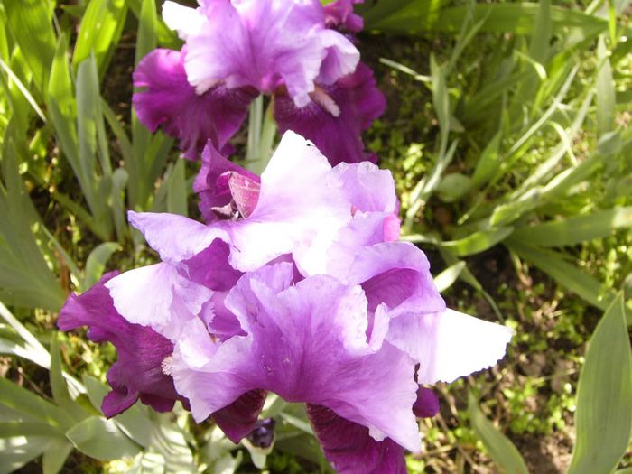 P1200537