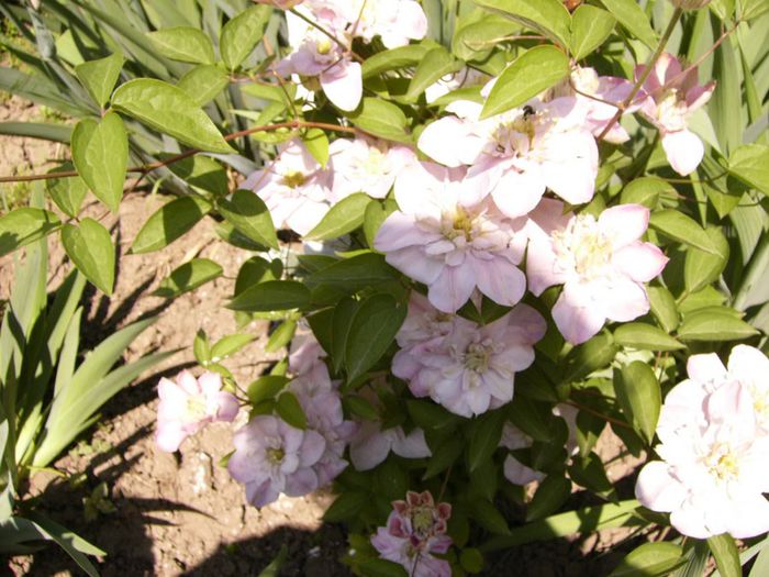 P1200575