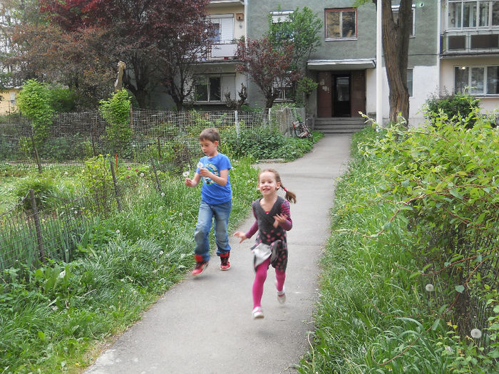 au sosit olandezii zburători