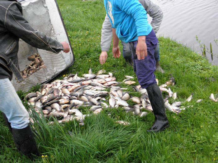 25.04.2014 - PESCUIT 2014