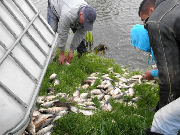 25.04.2014 - PESCUIT 2014