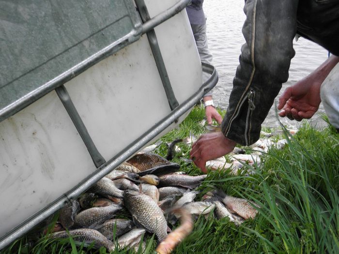 P4250071 - PESCUIT 2014