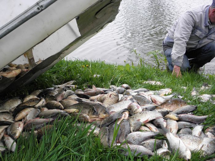 P4250073 - PESCUIT 2014