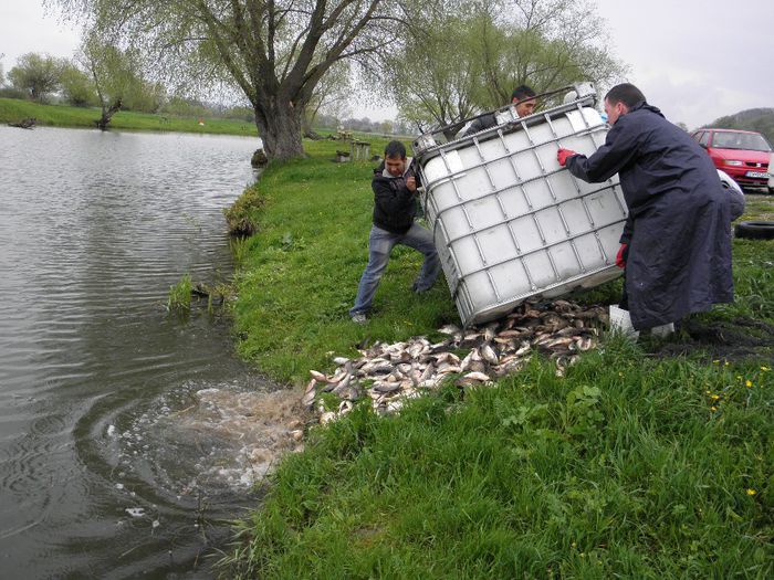 P4250075 - PESCUIT 2014