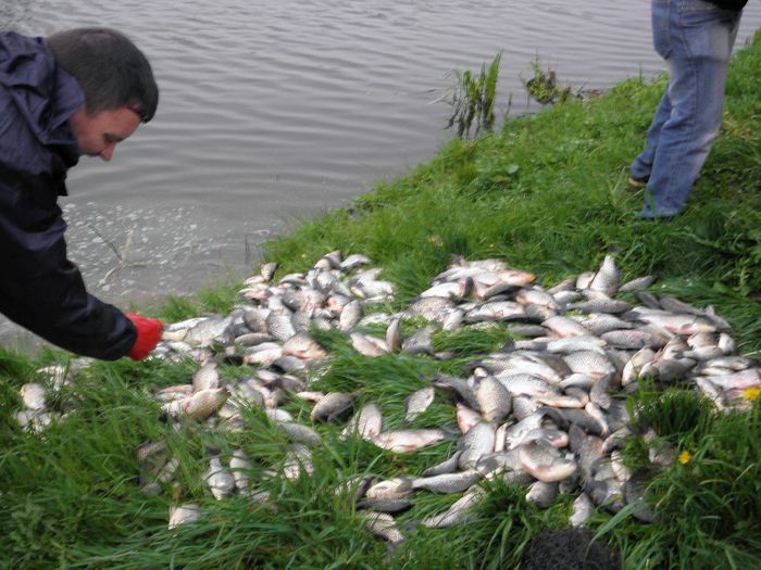 25.04.2014 - PESCUIT 2014