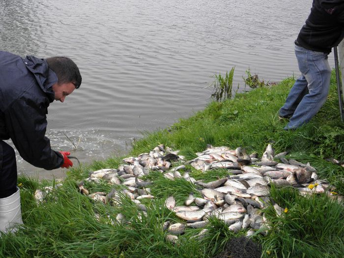 25.04.2014 - PESCUIT 2014