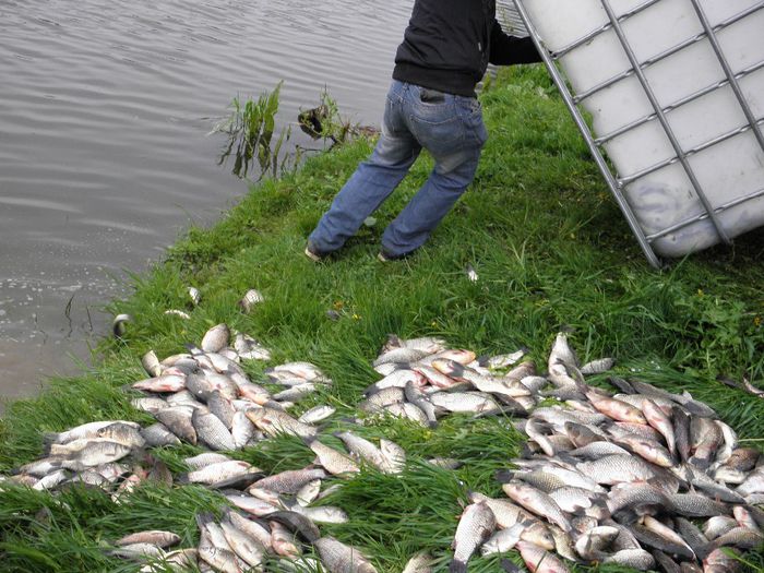 25.04.2014 - PESCUIT 2014