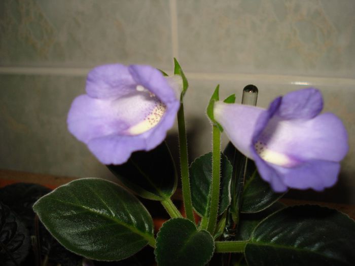 DSC08224