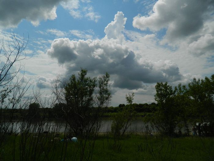 DSCN7979